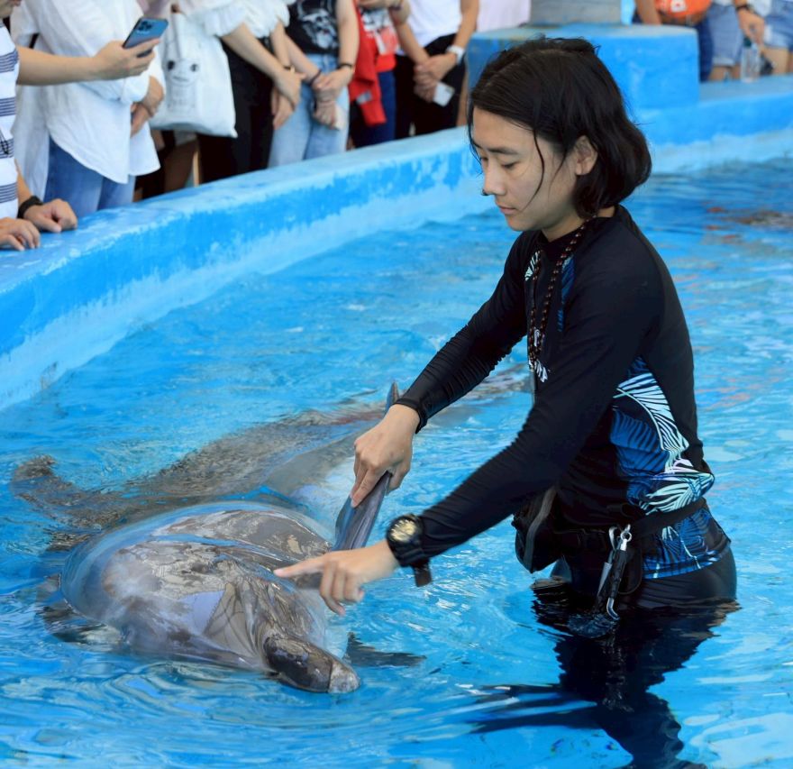 Freeze beautiful moments, let memories linger here.